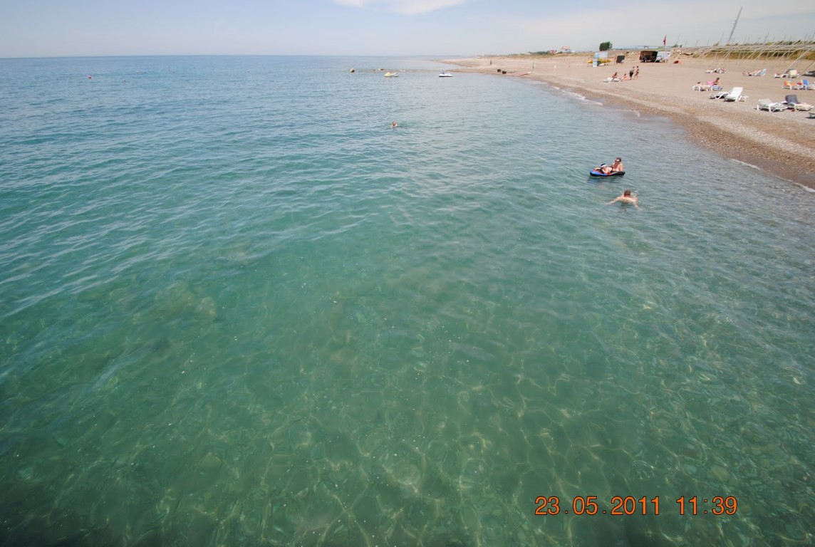 imagini hotel AMELIA BEACH RESORT SIDE